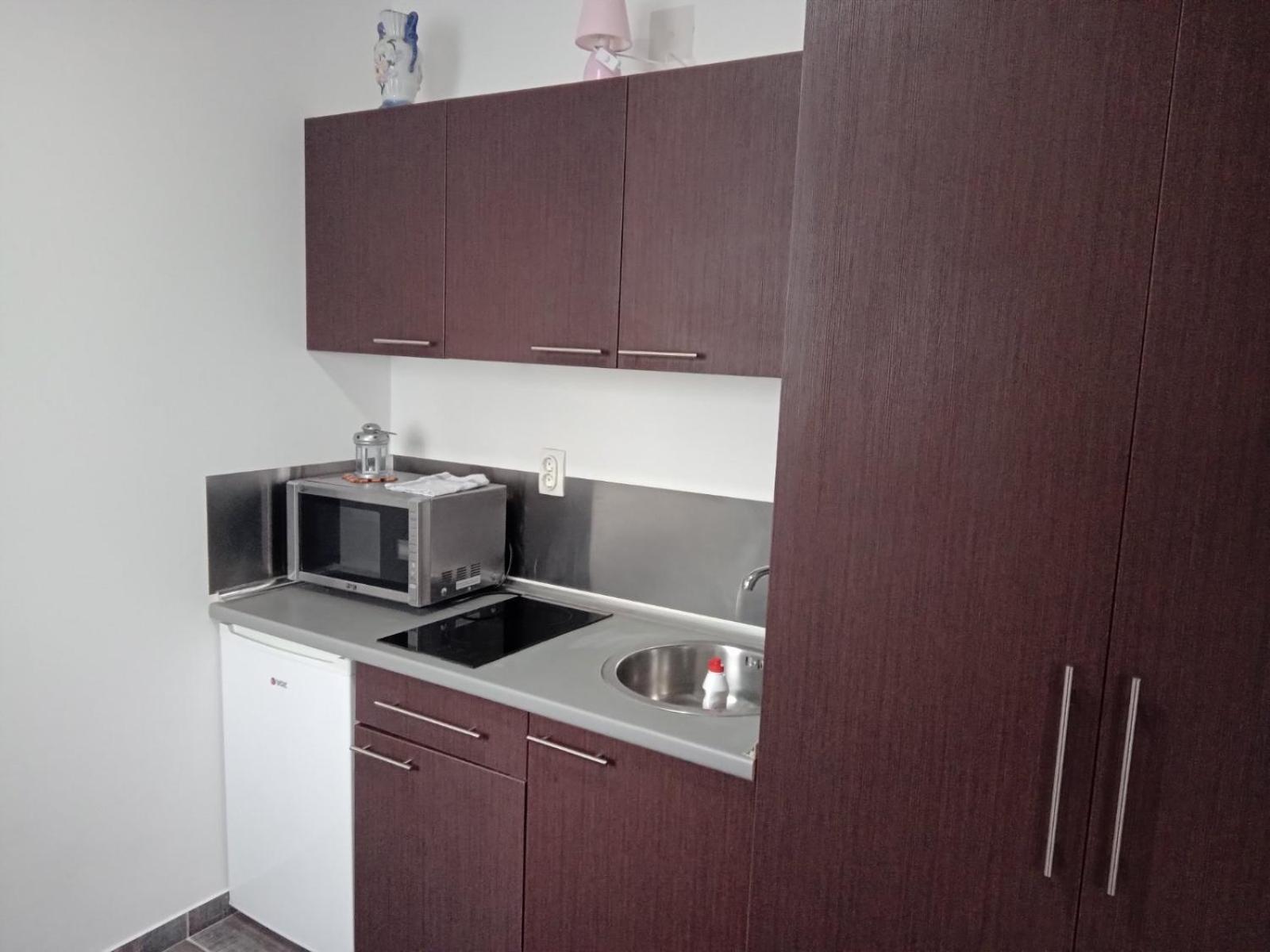 Vila Mozart - Apartments & Studios Kopaonik Exterior photo